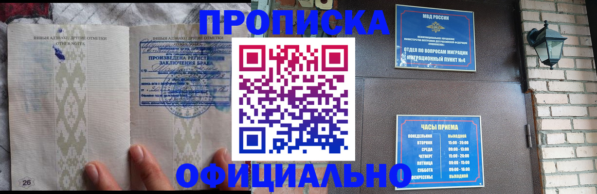 прописка поиск в Коле